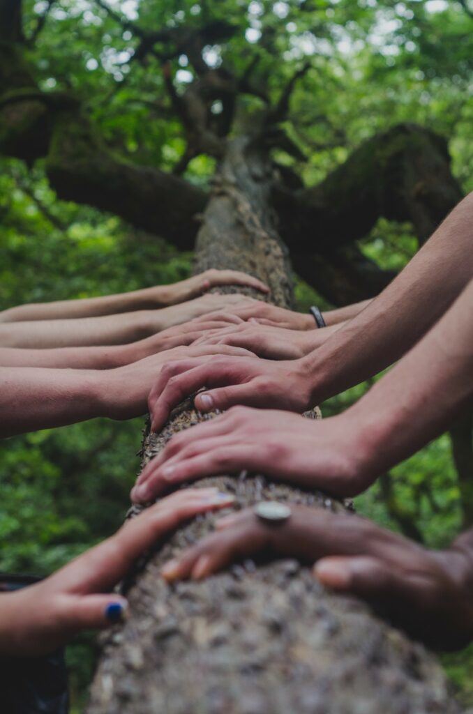 hands pressed against tree trunk