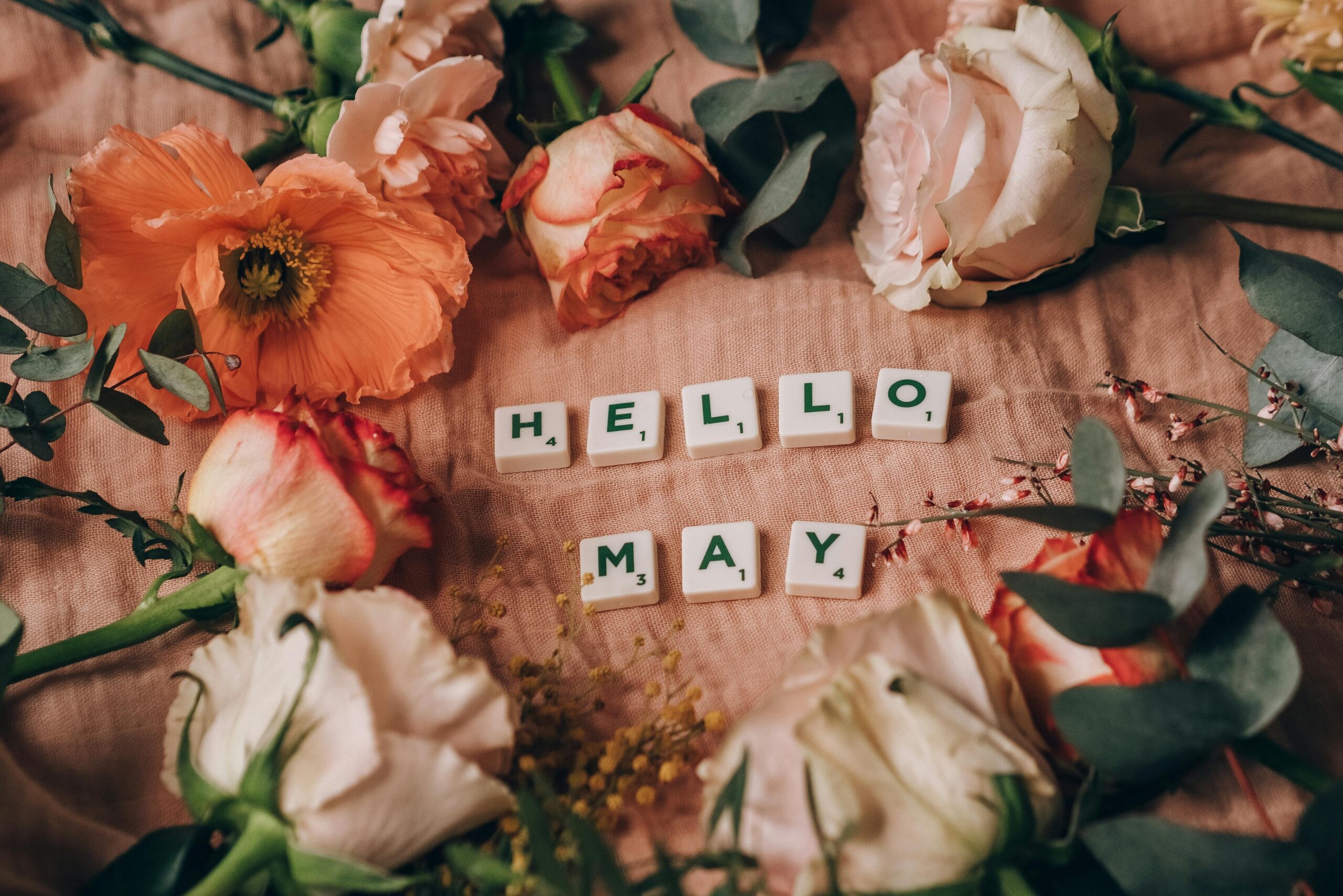 Hello May (the month_