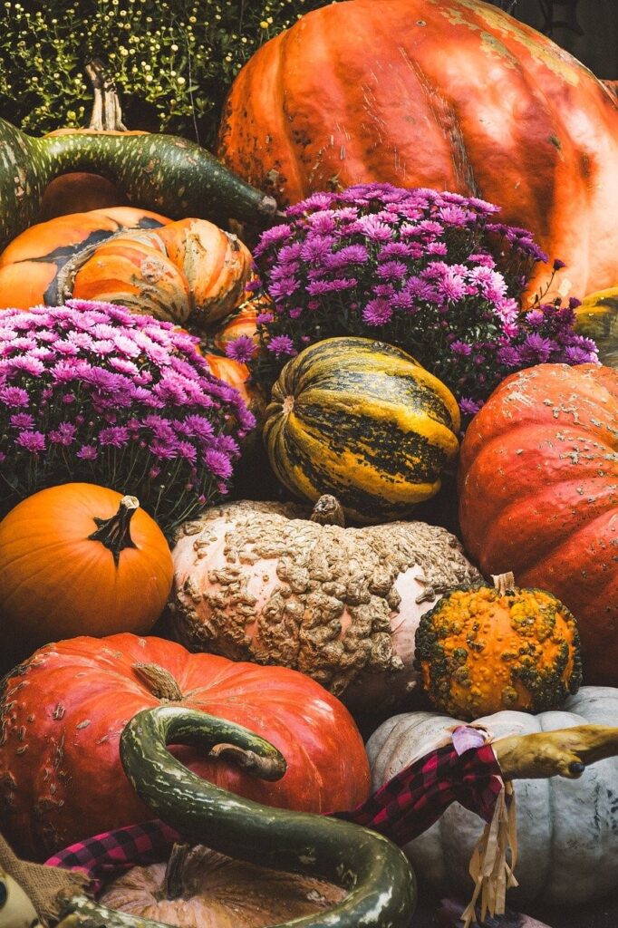 Fall gourds and pumpkins Pixabay.com