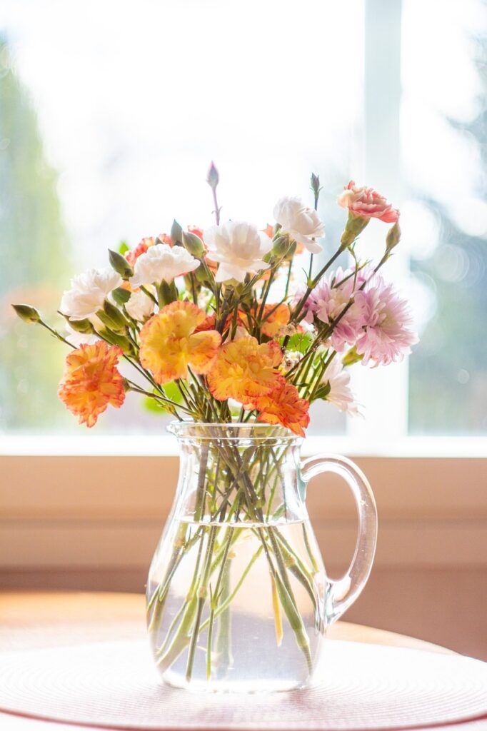 carnations pink and peach in a vase PXBY