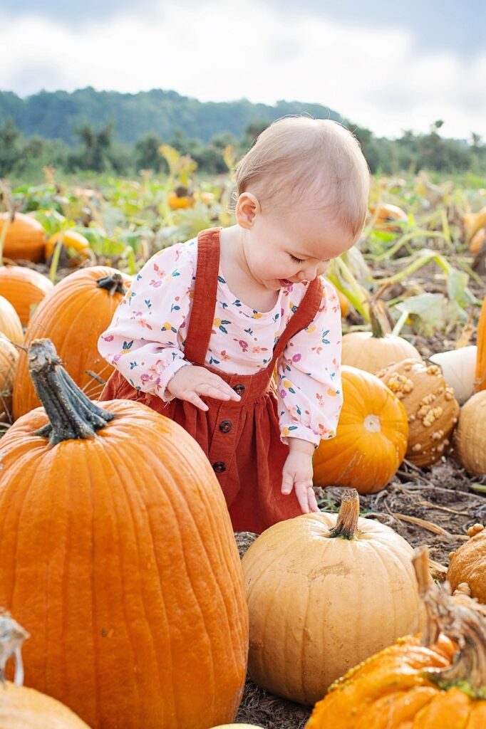 ittle girl in a pumpkin field Pixabay