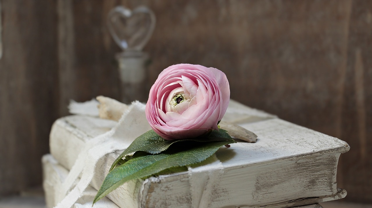 2 white books with a pink rose Pixabay