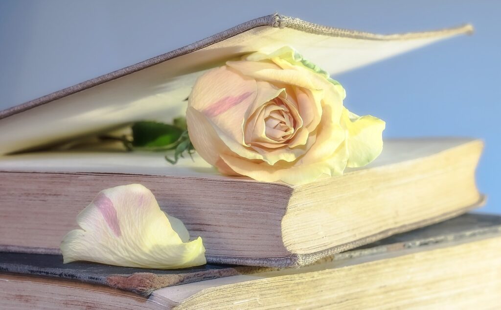 rose in a book Pixabay