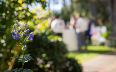 The Best Month to Get Married in Portland: Weather, Availability, and More
