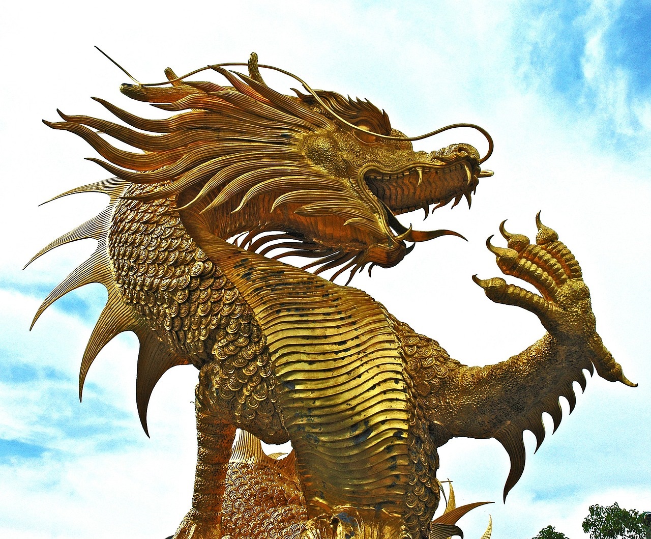 dragon