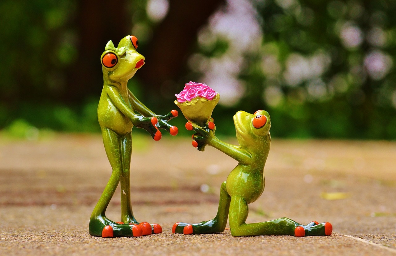 frog proposes to girl frog