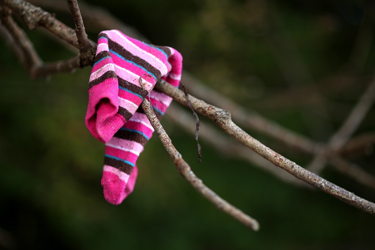 a pink striped sock on a branch