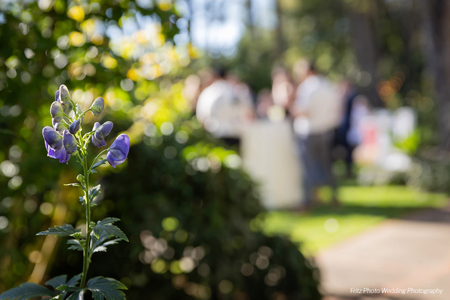 close up of flower at wedding in Oregon City