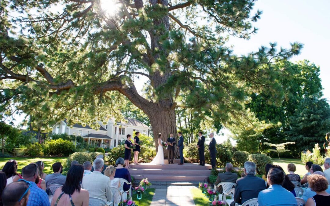 Questions to Ask a Wedding Venue Before You Book