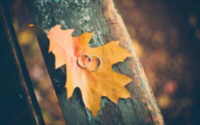 Complete Guide to Fall Weddings in Portland: Everything You Need to Know