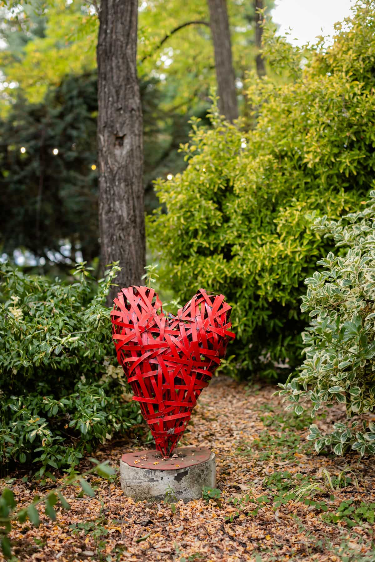 Fritz Photo Albee Dilla Heart