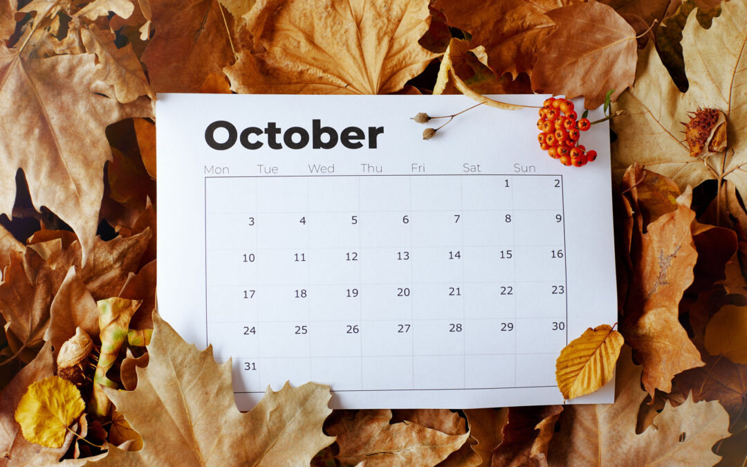 Complete Guide to Fall Weddings in Milwaukie: Everything You Need to Know