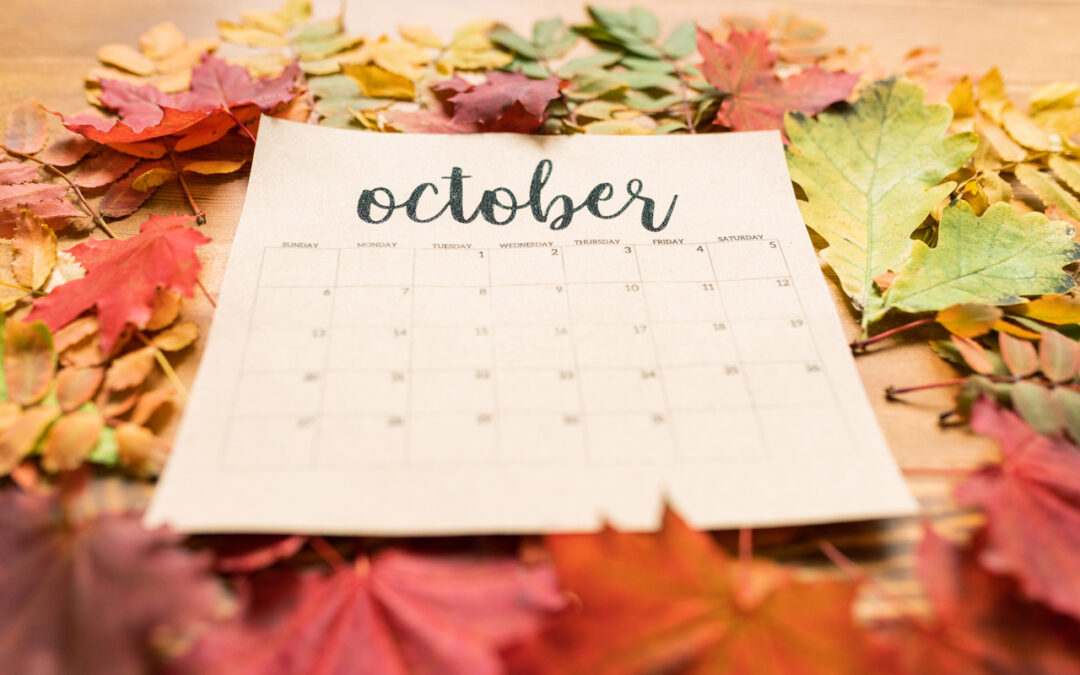 Complete Guide to Fall Weddings in Canby: Everything You Need to Know