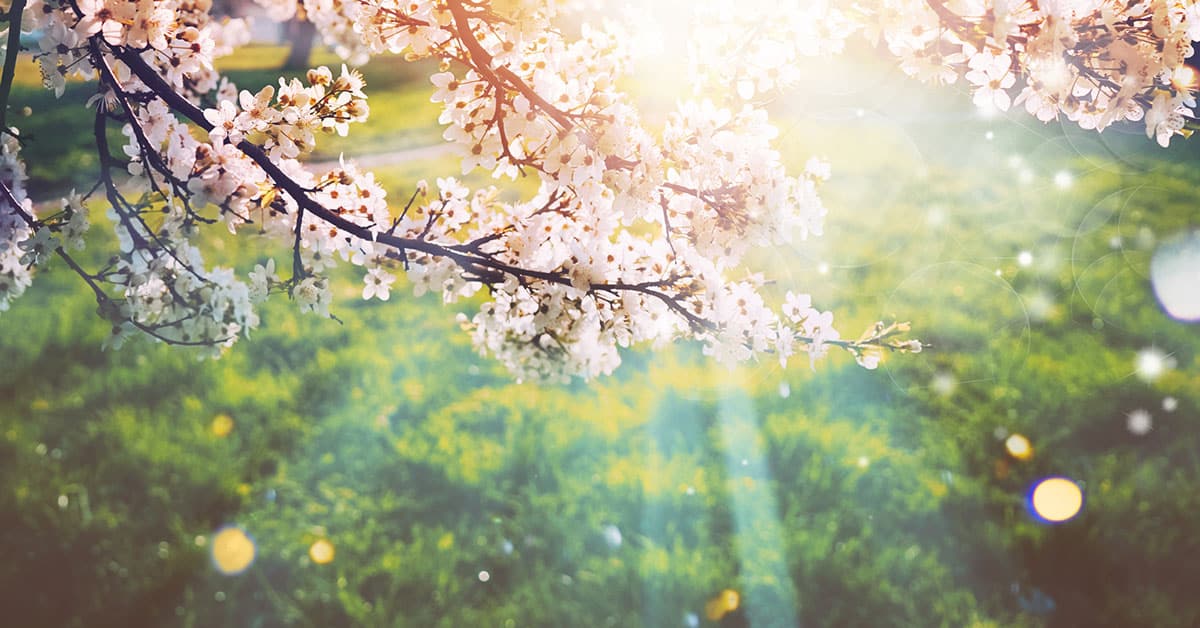 magical spring weather